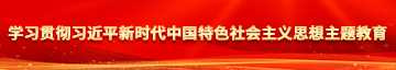 男生操女生的逼逼免费观看学习贯彻习近平新时代中国特色社会主义思想主题教育